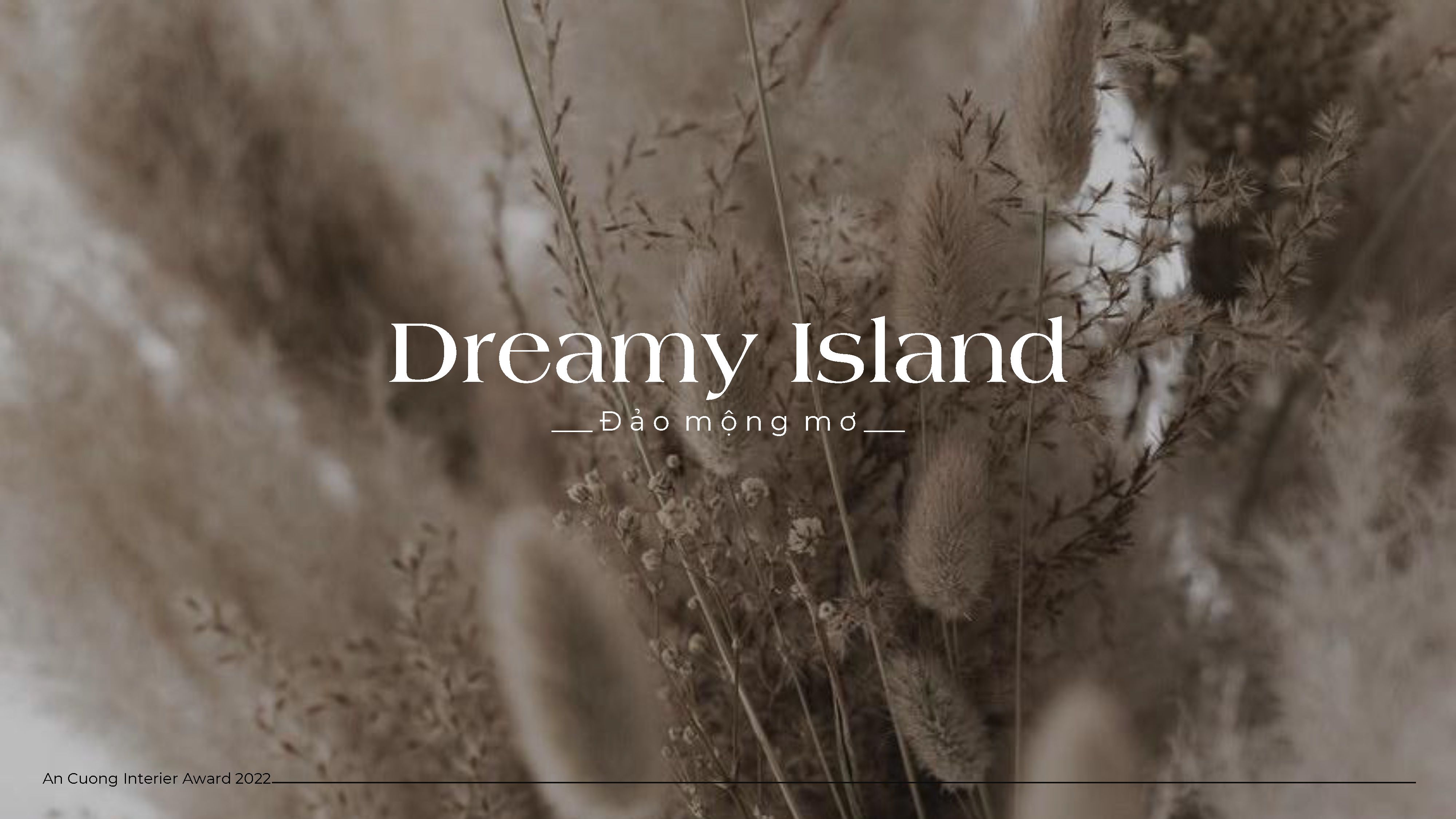 DREAMY ISLAND - LAYOUT